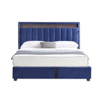 Lit de rangement Queen Size avec vérins à gaz et lumières LED RF, tête de lit de rangement, velours Queen Size